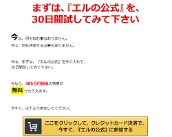 エルの公式の評判は自作自演？岩田晃一良の経歴はウソだった？