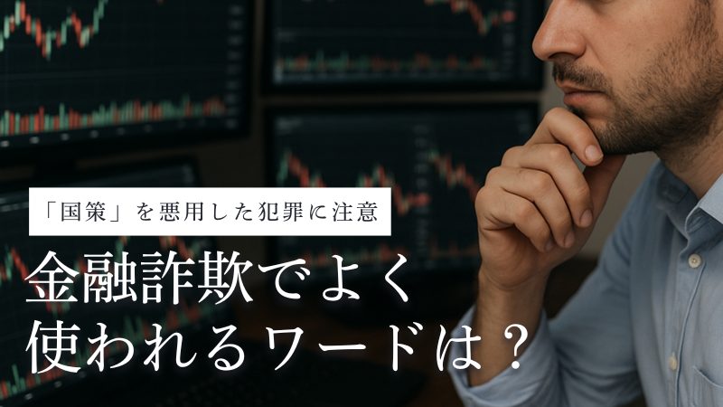 金融詐欺2