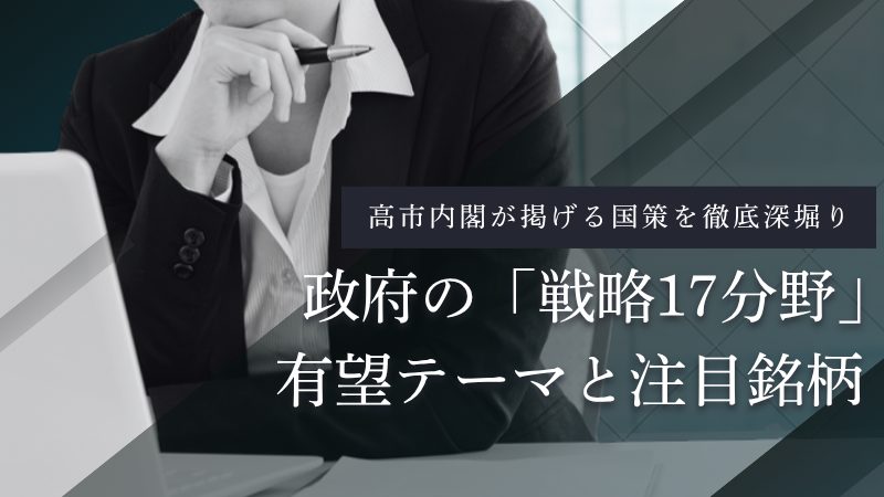 17の戦略分野